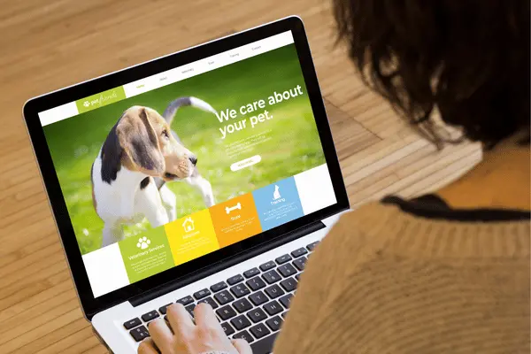 En İyi 5 WordPress Teması
