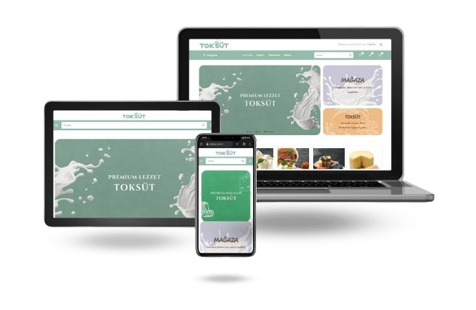 Toksüt web sitesi: masaüstü ve mobil ekran görüntüsü